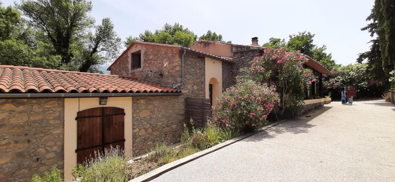 Gite De Charme Dans Mas Catalan Prades  Εξωτερικό φωτογραφία