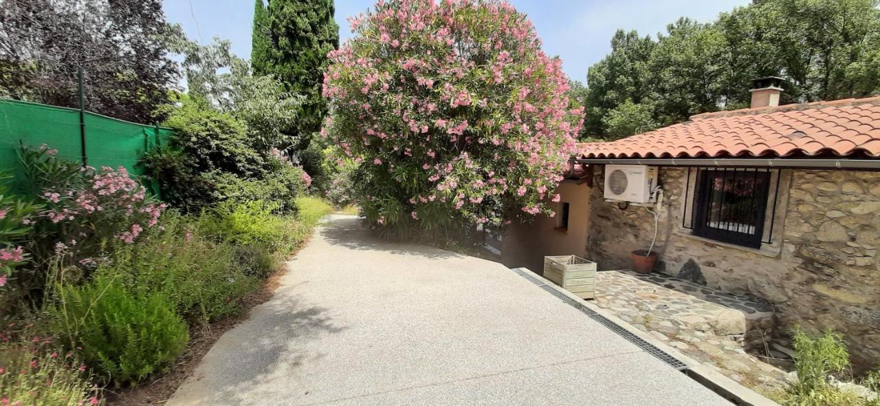 Gite De Charme Dans Mas Catalan Prades  Εξωτερικό φωτογραφία