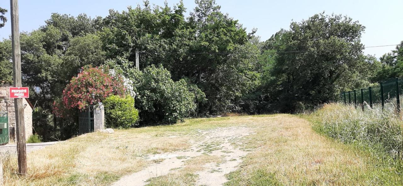Gite De Charme Dans Mas Catalan Prades  Εξωτερικό φωτογραφία